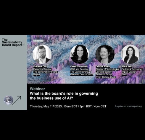 The Sustainability Board Report