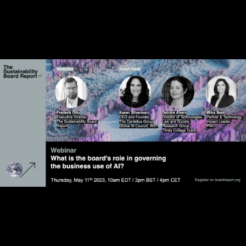 The Sustainability Board Report