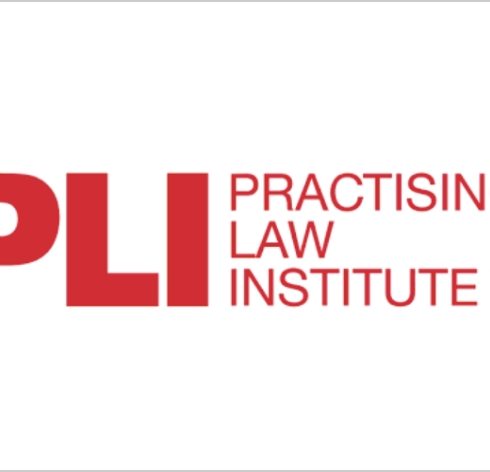PLI – Data Law and AI 2024