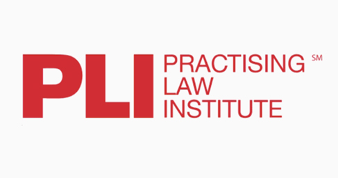 PLI | Artificial Intelligence Law