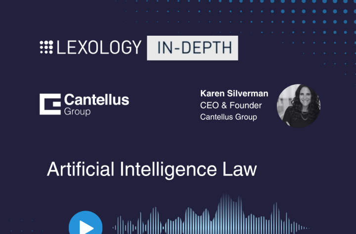 Karen Silverman Featured on The Lexology Podcast
