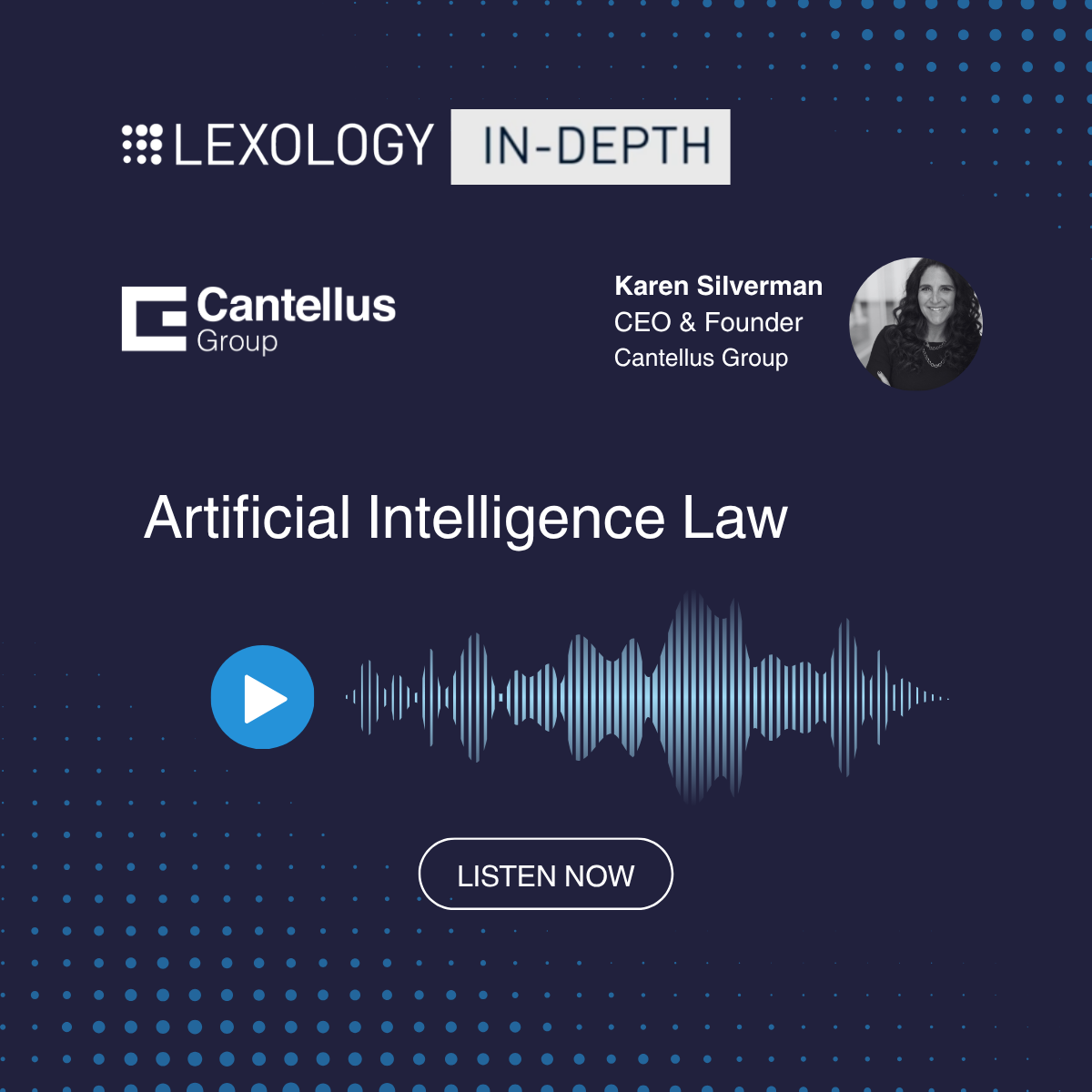 Karen Silverman Featured on The Lexology Podcast